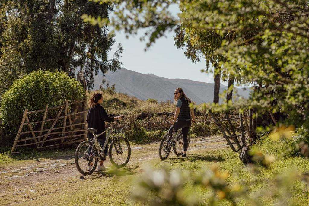 Colca Trek Lodge Best Experience Pinchollo Exteriör bild